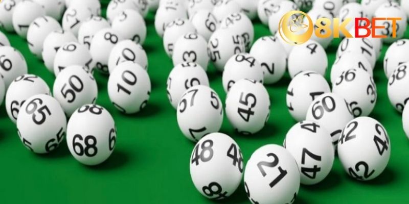 Lô kép khung 3 ngày là gì? Ưu và nhược điểm của nuôi khung lô kép 3 ngày